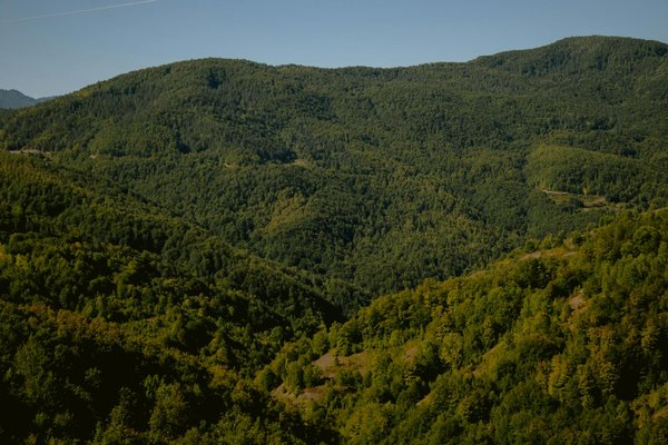 Investissement locatif : acquérez les connaissances nécessaires avec notre formation spécialisée